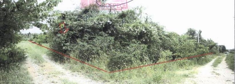 ขายที่ดิน 2 ไร่ 1 งาน 44 วา ในโครงการบ้านสวนสามร้อยยอด ราคา 9.45 แสนบาท ในอำเภอสามร้อยยอด ตำบลไร่เก่า ไร่เก่า สามร้อยยอด Ql1oJEAM