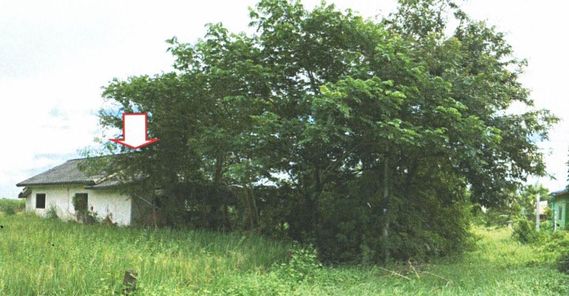 ขายบ้านเดี่ยว 1 ชั้น ในชุมชนโนนสะอาด ราคา 0.65 ล้านบาท ในอำเภอโนนสะอาด