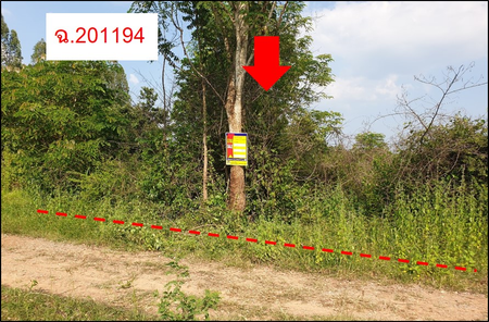 ขายที่ดินเปล่า 1งาน 25ตารางวา ราคาถูกเพียง 197,000 บาท ในอำเภอเมืองขอนแก่น ตำบลโนนท่อน โนนท่อน เมืองขอนแก่น nCHWki7S