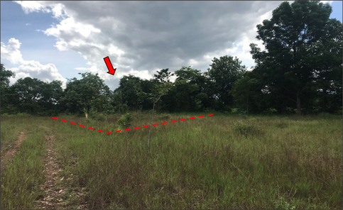 ขายที่ดินเปล่า 1งาน ราคาถูกเพียง 263,000 บาท ในอำเภอเมืองขอนแก่น ตำบลสำราญ สำราญ เมืองขอนแก่น 3X0RPLz2