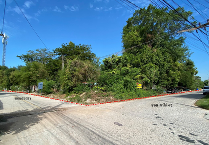 ขายบ้านเดี่ยว ราคา 27.42 ล้านบาท ในอำเภอเมืองระยอง