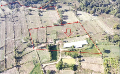 ขายที่ดิน 12 ไร่ 69.1 ตารางวา ราคา 2.38 ล้านบาท ในอำเภอสำโรง ตำบลโนนกลาง