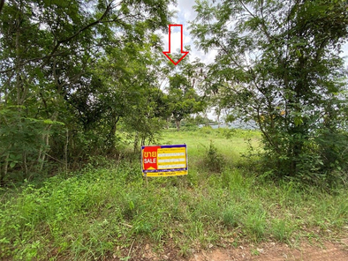 ขายที่ดินเปล่า 1งาน 4ตารางวา ราคาถูกเพียง 219,000 บาท ในอำเภอม่วงสามสิบ ตำบลโพนแพง โพนแพง ม่วงสามสิบ dY9RBcFQ