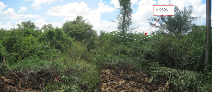 ขายที่ดินเปล่า 63ตารางวา ราคาถูกเพียง 199,000 บาท ในอำเภอเมืองอุบลราชธานี ตำบลแจระแม หาดคูเดื่อ-ทัพไทย- ท่าวังหิน sF7auw6R