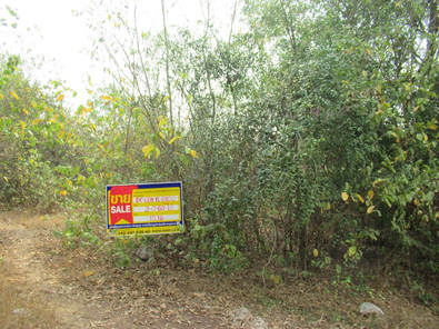 ขายที่ดินเปล่า 3ไร่ 60ตารางวา ราคา 2.98 ล้านบาท ในอำเภอเมืองอุดรธานี ตำบลหนองนาคำ หนองใส-บ้านนกน้อย-นาหวาน j0DMUqg3