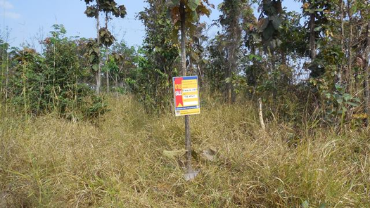 ขายที่ดินเปล่า 98ตารางวา ราคาถูกเพียง 103,000 บาท ในอำเภอเมืองขอนแก่น ตำบลบ้านค้อ แดงใหญ่ 24u0OrQY