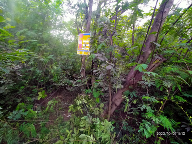 ขายที่ดินเปล่า 1งาน ราคาถูกเพียง 210,000 บาท ในอำเภอภูเวียง ตำบลหนองกุงธนสาร หนองกุงธนสาร ภูเวียง 17WaZyu1