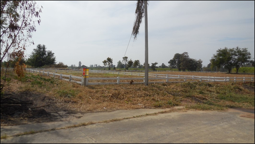 ขายที่ดินเปล่า 1งาน 35ตารางวา ราคาถูกเพียง 355,000 บาท ในอำเภอพล ตำบลหนองแวงนางเบ้า หนองแวงนางเบ้า พล AvZPYieo