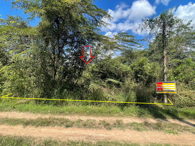 ขายที่ดินเปล่า 1งาน 20.1ตารางวา ราคาถูกเพียง 127,000 บาท ในอำเภอวารินชำราบ ตำบลบุ่งมะแลง บุ่งมะแลง วารินชำราบ v5o2LBNC