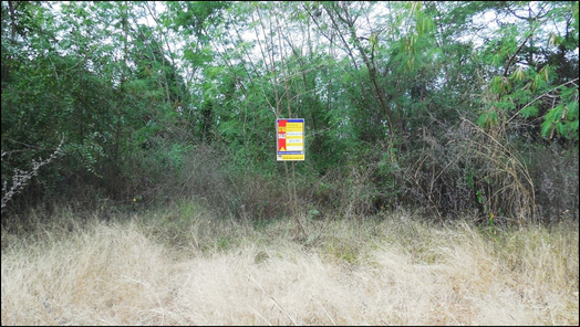 ขายที่ดินเปล่า 1งาน 6ตารางวา ราคาถูกเพียง 156,000 บาท ในอำเภอน้ำพอง ตำบลกุดน้ำใส กุดน้ำใส น้ำพอง 6WM3wCxY