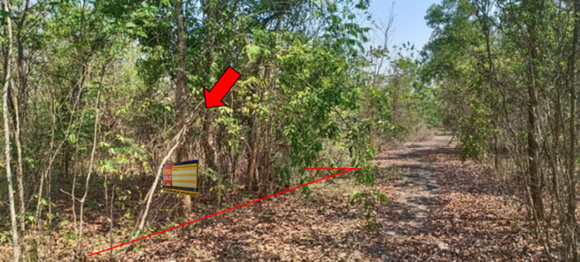 ขายที่ดินเปล่า 1งาน 22ตารางวา ราคาถูกเพียง 193,000 บาท ในอำเภอหนองหาน ตำบลหนองหาน หนองหาน หนองหาน LF6QSu80