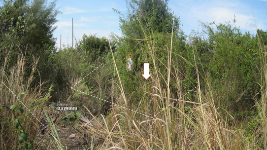 ขายที่ดินเปล่า 60ตารางวา ราคาถูกเพียง 189,000 บาท ในอำเภอเมืองอุบลราชธานี ตำบลแจระแม หาดคูเดื่อ-ทัพไทย- ท่าวังหิน TifIK7sZ