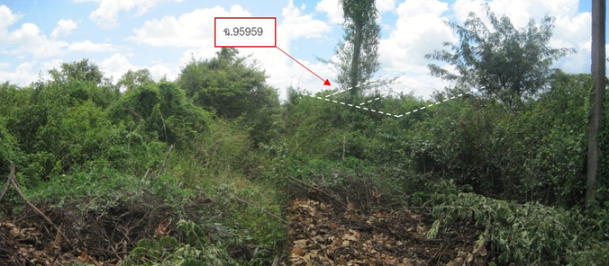 ขายที่ดินเปล่า 50ตารางวา ราคาถูกเพียง 158,000 บาท ในอำเภอเมืองอุบลราชธานี ตำบลแจระแม หาดคูเดื่อ-ทัพไทย- ท่าวังหิน yZUd7m1I