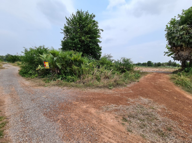 ขายที่ดินเปล่า 1งาน ราคาถูกเพียง 263,000 บาท ในอำเภอเขาสวนกวาง ตำบลเขาสวนกวาง เขาสวนกวาง เขาสวนกวาง nCGUtn2a