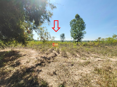 ขายที่ดินเปล่า 34ไร่ 3งาน 80ตารางวา ราคา 1.91 ล้านบาท ในอำเภอทุ่งศรีอุดม ตำบลกุดเรือ กุดเรือ ทุ่งศรีอุดม 1gvKiJ0J