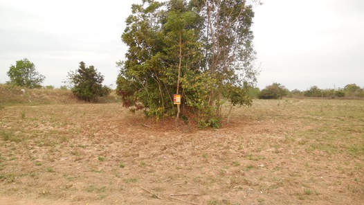 ขายที่ดินเปล่า 19ไร่ 70ตารางวา ราคา 4.83 ล้านบาท ในอำเภอน้ำพอง ตำบลน้ำพอง น้ำพอง น้ำพอง hKZhmjAG