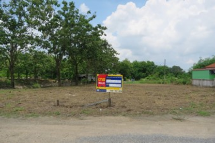 ขายที่ดินเปล่า 97ตารางวา ราคา 1.32 ล้านบาท ในอำเภอบางละมุง ตำบลโป่ง โป่ง บางละมุง zNvEF7dE