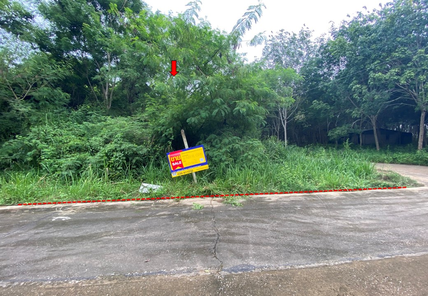 ขายที่ดินเปล่า 2ไร่ 36ตารางวา ราคา 3.07 ล้านบาท ในอำเภอแกลง ตำบลทางเกวียน สามย่าน-แหลมแม่พิมพ์-ประแสร์-กองดิน shbLPyt0