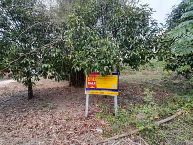 ขายที่ดินเปล่า 85ตารางวา ราคาถูกเพียง 581,000 บาท ในอำเภอแกลง ตำบลชากพง สามย่าน-แหลมแม่พิมพ์-ประแสร์-กองดิน n9RCvvll