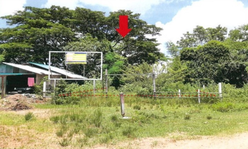 ขายที่ดินเกษตรกรรม 3ไร่ 3งาน 49ตารางวา ราคา 1.3 ล้านบาท ในอำเภอเมืองอุบลราชธานี ตำบลขามใหญ่ ชยางกูร ฝั่งห้วยคุ้ม คลังอาวุธ zHMxXUf5