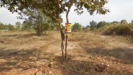 ขายที่ดินเปล่า ราคาถูกเพียง 252,000 บาท ใน โครงการ เขาสวนกวางรีสอร์ท ในอำเภอเขาสวนกวาง เขาสวนกวาง เขาสวนกวาง 2QV23zl3