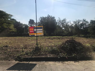 ขายที่ดินเปล่า 2งาน 66ตารางวา ราคา 2.79 ล้านบาท ในอำเภอบางละมุง ตำบลเขาไม้แก้ว เขาไม้แก้ว บางละมุง zi8VVWAQ