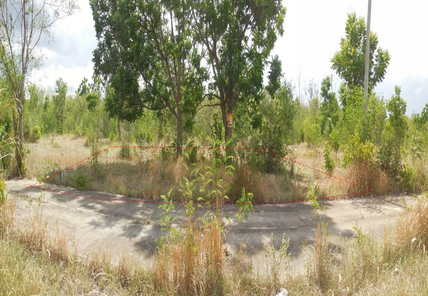 ขายที่ดินเปล่า 80ตารางวา ราคาถูกเพียง 252,000 บาท ในอำเภอชุมแพ ตำบลหนองไผ่ หนองไผ่ ชุมแพ rVTe01VR