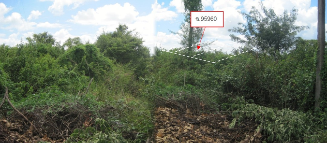 ขายที่ดินเปล่า 50ตารางวา ราคาถูกเพียง 158,000 บาท ในอำเภอเมืองอุบลราชธานี ตำบลแจระแม หาดคูเดื่อ-ทัพไทย- ท่าวังหิน 69xPDuFR