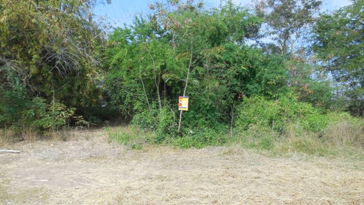 ขายที่ดินเปล่า 1งาน 34ตารางวา ราคาถูกเพียง 324,000 บาท ในอำเภอพระยืน ตำบลบ้านโต้น บ้านโต้น พระยืน iDP0e4lJ