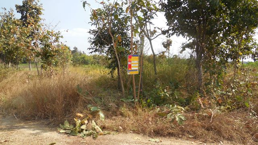 ขายที่ดินเปล่า ราคาถูกเพียง 90,000 บาท ใน โครงการดอกแก้วบ้านค้อ ในอำเภอเมืองขอนแก่น แดงใหญ่ 1hLJJhN4