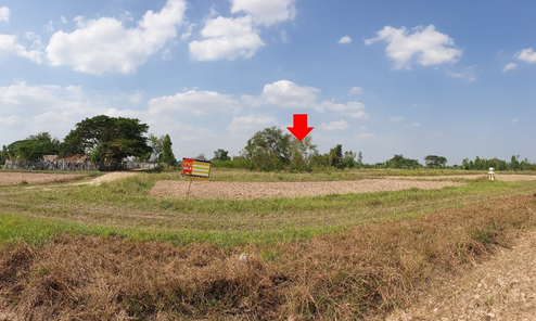 ขายที่ดินเปล่า 1งาน 10ตารางวา ราคาถูกเพียง 347,000 บาท ในอำเภอบ้านฝาง ตำบลบ้านฝาง บ้านฝาง บ้านฝาง FREyOPdI