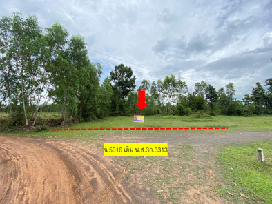 ขายที่ดินเปล่า 1งาน 15ตารางวา ราคาถูกเพียง 182,000 บาท ในอำเภอเหล่าเสือโก้ก ตำบลเหล่าเสือโก้ก เหล่าเสือโก้ก เหล่าเสือโก้ก wrnZXrvW