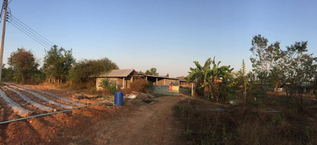 ขายโรงงาน 4ไร่ 36ตารางวา ราคา 2.28 ล้านบาท ในอำเภอนางรอง ตำบลทุ่งแสงทอง ทุ่งแสงทอง นางรอง UQSK9cOy