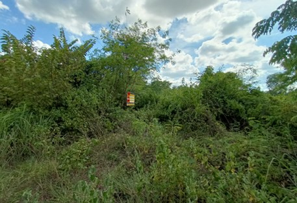 ขายที่ดินเปล่า 1ไร่ 76ตารางวา ราคาถูกเพียง 900,000 บาท ในอำเภอภูเวียง ตำบลหนองกุงธนสาร หนองกุงธนสาร ภูเวียง 9ialLIGa