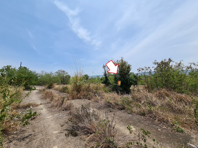 ขายที่ดินเปล่า 80ตารางวา ราคาถูกเพียง 269,000 บาท ในอำเภอชุมแพ ตำบลหนองไผ่ หนองไผ่ ชุมแพ 7oRKtSAb