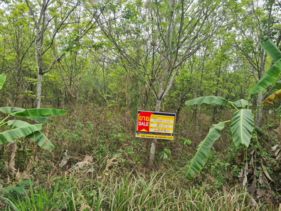 ขายที่ดินเปล่า 3ไร่ 3งาน 98ตารางวา ราคา 3.02 ล้านบาท ในอำเภอกุดจับ ตำบลตาลเลียน ตาลเลียน กุดจับ yjyS0RW5