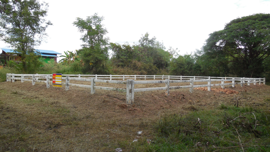 ขายที่ดินเปล่า 1งาน 40ตารางวา ราคาถูกเพียง 177,000 บาท ในอำเภอเขาสวนกวาง ตำบลเขาสวนกวาง เขาสวนกวาง เขาสวนกวาง 2NA2AMU9