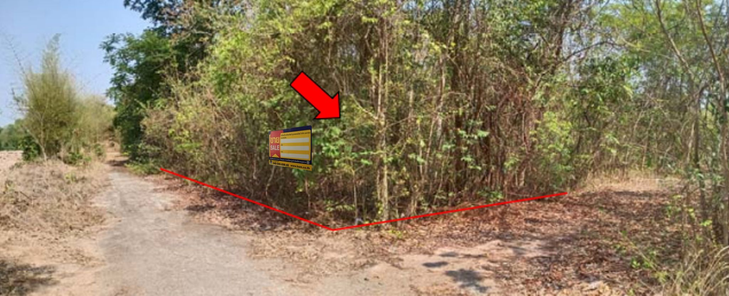 ขายที่ดินเปล่า 1งาน 24ตารางวา ราคาถูกเพียง 196,000 บาท ในอำเภอหนองหาน ตำบลหนองหาน หนองหาน หนองหาน cjNvg5di