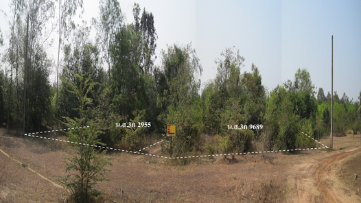 ขายที่ดินเปล่า 1งาน 66ตารางวา ราคาถูกเพียง 245,000 บาท ในอำเภอเมืองอุบลราชธานี ตำบลขามใหญ่ ชยางกูร ฝั่งห้วยคุ้ม คลังอาวุธ TGjfcZOt