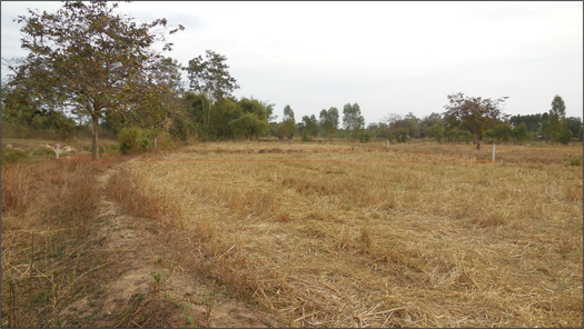 ขายที่ดินเปล่า 80ตารางวา ราคาถูกเพียง 126,000 บาท ในอำเภอเมืองขอนแก่น ตำบลโนนท่อน โนนท่อน เมืองขอนแก่น abJ2SlLt