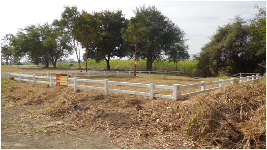 ขายที่ดินเปล่า 98ตารางวา ราคาถูกเพียง 258,000 บาท ในอำเภอพล ตำบลหนองแวงนางเบ้า หนองแวงนางเบ้า พล 8YaWsQik