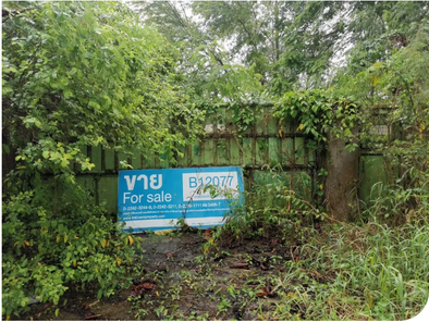 ขายที่ดินพร้อมสิ่งปลูกสร้าง เนื้อที่ 4-0-0 ราคา 5.60 ล้านบาท ในอำเภอพนัสนิคม ตำบลหมอนนาง หมอนนาง พนัสนิคม W81BtxuC