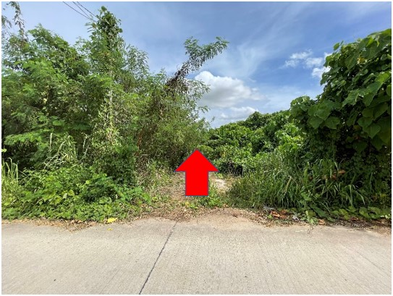 ขายที่ดินเปล่า 3งาน 97ตารางวา ราคา 2.08 ล้านบาท ในอำเภอศรีราชา ตำบลเขาคันทรง เขาคันทรง ศรีราชา jEgI0iuk