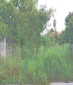 ขายที่ดินเปล่า 1ไร่ 1งาน 37ตารางวา ราคา 6.5 ล้านบาท ในอำเภอศรีราชา ตำบลหนองขาม บางพระ ศรีราชา ถนนเก้ากิโล สรุศักดิ์ Ga0Ef8yV