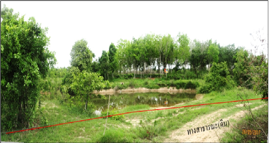 ขายที่ดินเกษตรกรรม 54ไร่ 2งาน 64.2ตารางวา ราคา 5.97 ล้านบาท ในอำเภอเมืองประจวบคีรีขันธ์ ตำบลบ่อนอก กุยบุรี-อ.เมืองประจวบฯ 1ODrqPq9