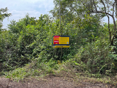 ขายที่ดินเปล่า 1งาน 7ตารางวา ราคาถูกเพียง 169,000 บาท ในอำเภอบางสะพาน ตำบลพงศ์ประศาสน์ พงศ์ประศาสน์ บางสะพาน U1DYZWTS