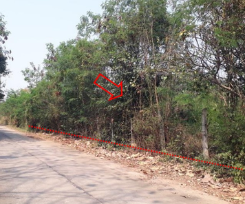 ขายที่ดินเปล่า 2งาน 84.2ตารางวา ราคา 1.2 ล้านบาท ในอำเภอชุมแพ ตำบลไชยสอ ไชยสอ ชุมแพ vfXAZ394