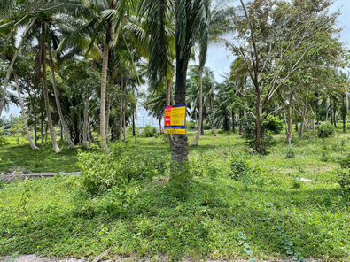 ขายที่ดินเปล่า 1งาน 15ตารางวา ราคาถูกเพียง 604,000 บาท ในอำเภอบางสะพานน้อย ตำบลทรายทอง บางสะพาน-ทับสะแก 4CKTshZ4