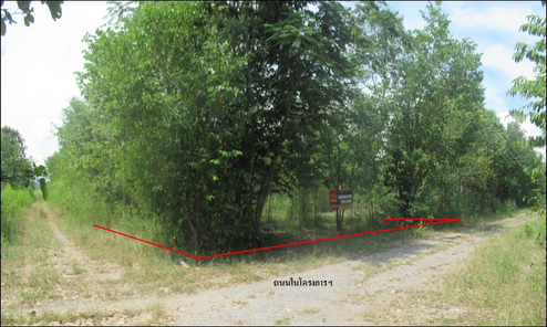 ขายที่ดินเปล่า 1งาน ราคาถูกเพียง 168,000 บาท ในอำเภอหัวหิน ตำบลทับใต้ ทับใต้-เขื่อนปราณ Zc7w1dUx