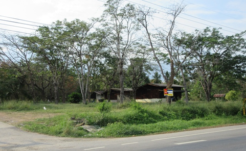 ขายบ้านเดี่ยว ราคา 49.04 ล้านบาท ในอำเภอบางสะพานน้อย